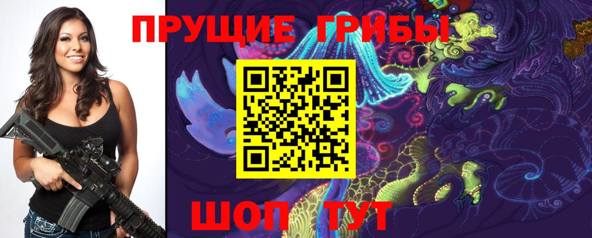 Псилоцибиновые грибы Cubensis  Вход с VPN  Еманжелинск 